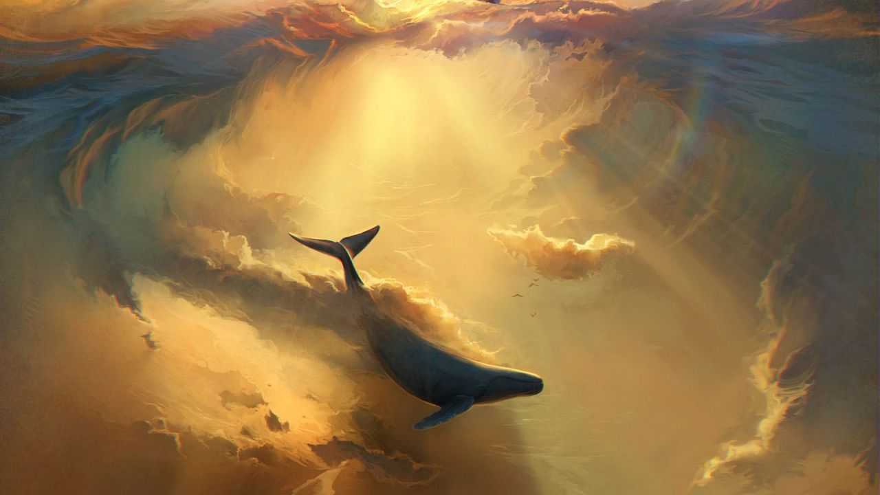 shark_dolphin_sea_130036_1280x720